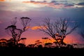 Sunrise in the Outback Royalty Free Stock Photo