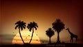 Sunrise over the African savanna giraffe and trees