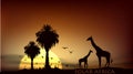 Sunrise over the African savanna giraffe and trees