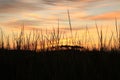 Sunrise over the Atlantaic ocean inlet.