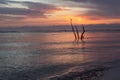 Sunrise over Atlantic Ocean on Folly Beach South Carolina Royalty Free Stock Photo