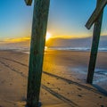 Sunbeams and Buggy Tracks under the Fishing Pier