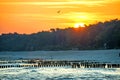 Sunrise over the Baltic Sea with groins Royalty Free Stock Photo