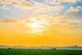 Sunrise over the corn field Royalty Free Stock Photo