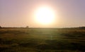 Sunrise over the corn field Royalty Free Stock Photo