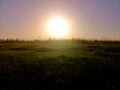 Sunrise over the corn field Royalty Free Stock Photo