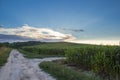 Sunrise over corn field with silo Royalty Free Stock Photo