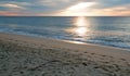 Sunrise over driftwood on beach in San Jose Del Cabo in Baja California Mexico Royalty Free Stock Photo