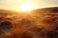 Sunrise over the Dunes in the Yorkshire Dales National Park Royalty Free Stock Photo