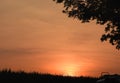 Sunrise over a farm cornfield in Pennsylvania USA Royalty Free Stock Photo