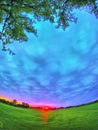 Sunrise over a field