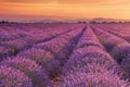 Sunrise over fields of lavender in the Provence, France Royalty Free Stock Photo