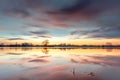 Sunrise over a flooded meadow in winter. Reflection of orange and pink clouds in calm water Royalty Free Stock Photo