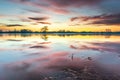Sunrise over a flooded meadow in winter. Reflection of orange and pink clouds in calm water Royalty Free Stock Photo