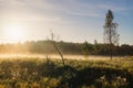 Sunrise over foggy meadow Royalty Free Stock Photo
