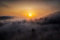 Sunrise over forest with morning fog between the trees