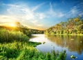 Sunrise over the forest river Royalty Free Stock Photo