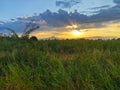 Sunrise over Hemp Field