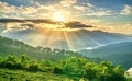 Sunrise over hillside a pine forest with long sun rays pass through valley Royalty Free Stock Photo