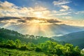 Sunrise over hillside a pine forest with long sun rays pass through valley Royalty Free Stock Photo