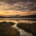 Sunrise over Hjerkinnsdammen lake, Dovre mountains. Dovrefjell-Sunndalsfjella national park, Norway Royalty Free Stock Photo