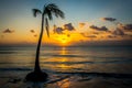 Sunrise over the horizon on the ocean, set against the silhouette of a lone palm tree, with waves gently rolling into shore. Royalty Free Stock Photo