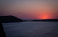 Sunrise over an island in the sea with a flying gull Royalty Free Stock Photo