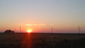 Sunrise over Jeffrey& x27;s Bay wind farm Royalty Free Stock Photo