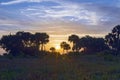 Sunrise Over Kissimmee Prairie Preserve State Park Royalty Free Stock Photo