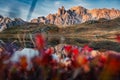 Sunrise over Lac Long with Massif des cerces reflection on the lake and wildflower blooming in Claree Valley at French Alps Royalty Free Stock Photo