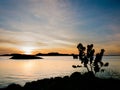 Sunrise over Lake Argyle, Western Australia