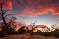 Sunrise over Lake bonney in Barmera south australia