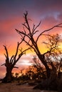 Sunrise over Lake bonney in Barmera south australia