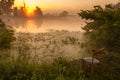 Sunrise over the lake with reflection of bare trees in the water. Royalty Free Stock Photo