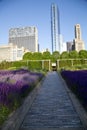 Sunrise over the Lurie Garden, Chicago Royalty Free Stock Photo