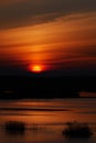 Sunrise over marshland Royalty Free Stock Photo