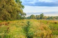 Sunrise over the Millingerwaard landscape with walking path between high growing wild herbs