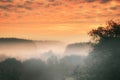 Sunrise over a misty forest. Dawn in fairy forest with dramatic glowing sky Royalty Free Stock Photo