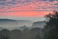 Sunrise over a misty forest. Dawn in fairy forest with dramatic glowing sky