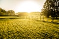 Sunrise over misty grassland