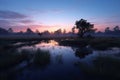 Sunrise over the misty marshland in the morning, Australia Royalty Free Stock Photo