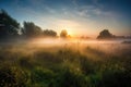 sunrise over misty meadow, with shafts of sunlight illuminating the scene
