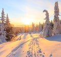 Sunrise over the mountain, forest and snow Royalty Free Stock Photo