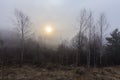 Sunrise over the mountains shrouded in fog. Landscape of the mountain river Stryi, Carpathian mountains, Ukraine Royalty Free Stock Photo