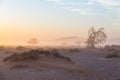 Sunrise over The Namib desert, roadtrip in the wonderful Namib Naukluft National Park, travel destination in Namibia, Africa. Morn Royalty Free Stock Photo