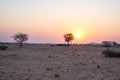 Sunrise over The Namib desert, roadtrip in the wonderful Namib Naukluft National Park, travel destination in Namibia, Africa. Morn Royalty Free Stock Photo