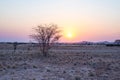 Sunrise over The Namib desert, roadtrip in the wonderful Namib Naukluft National Park, travel destination in Namibia, Africa. Morn Royalty Free Stock Photo