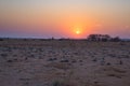 Sunrise over The Namib desert, roadtrip in the wonderful Namib Naukluft National Park, travel destination in Namibia, Africa. Morn Royalty Free Stock Photo