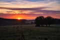 Sunrise over a neighboring forest with meadow in the foreground. Pasture landscape Royalty Free Stock Photo