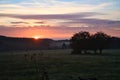 Sunrise over a neighboring forest with meadow in the foreground. Pasture landscape Royalty Free Stock Photo